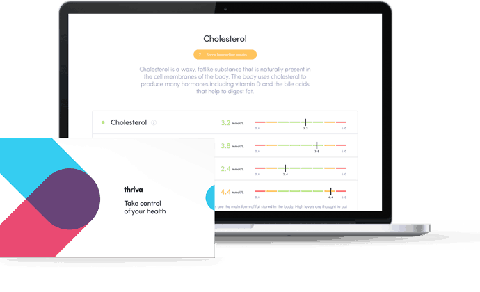 Thriva Lifestyle and Energy Blood Test Review