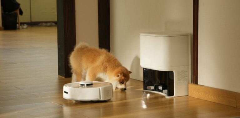 SwitchBot Launches K10+, the World’s Smallest Robot Vacuum